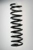 SPIDAN 48024 Coil Spring
